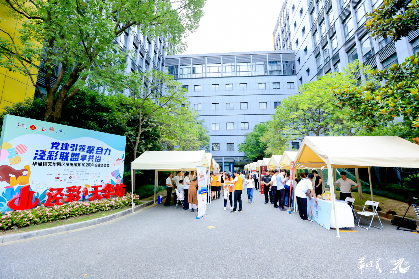銀嘉付臨門：黨建引領(lǐng)聚合力 涇彩聯(lián)盟享共治